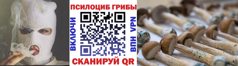 Псилоцибиновые грибы мухоморы  купить наркотик  Череповец 