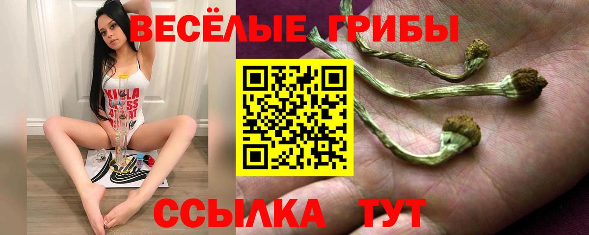 Галлюциногенные грибы GOLDEN TEACHER Череповец